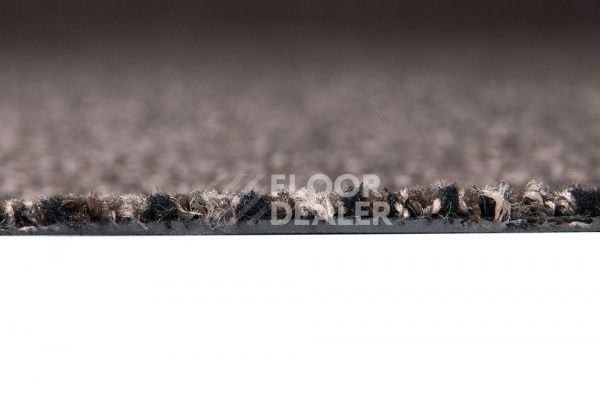 Грязезащитные покрытия Vebe Alba PC Alba PVC 80 фото 2 | FLOORDEALER